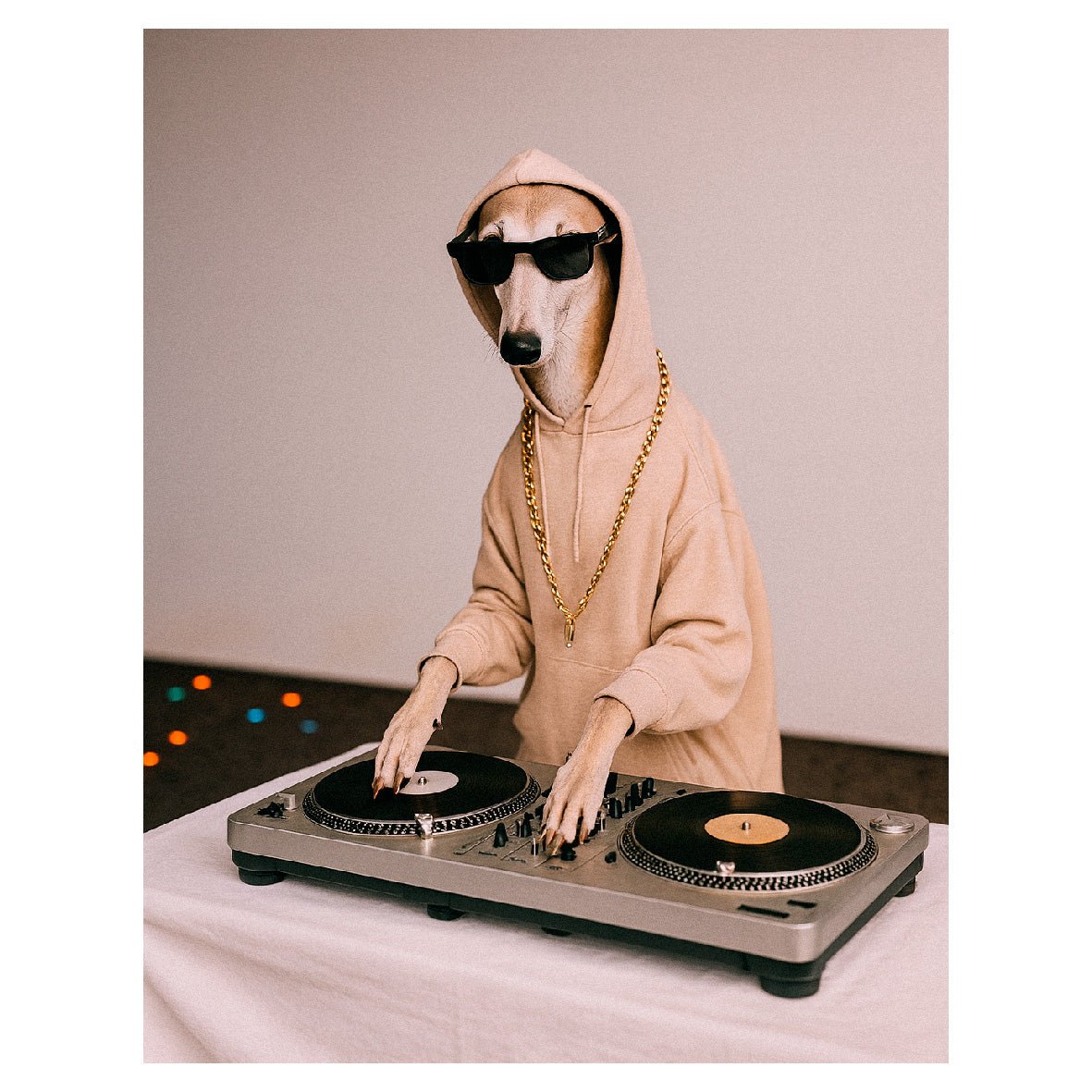 Decorative "Coquette Collection: DJ Doggo" Poster | High - Quality Print | Repositionable Adhesive - Pasquín