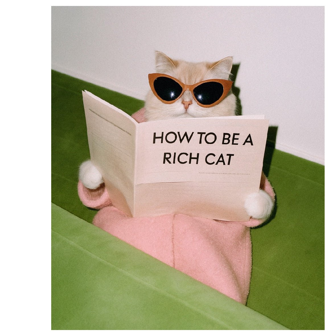 Decorative "Coquette Collection: Dreaming Big" Poster | High - Quality Print | Repositionable Adhesive - Pasquín