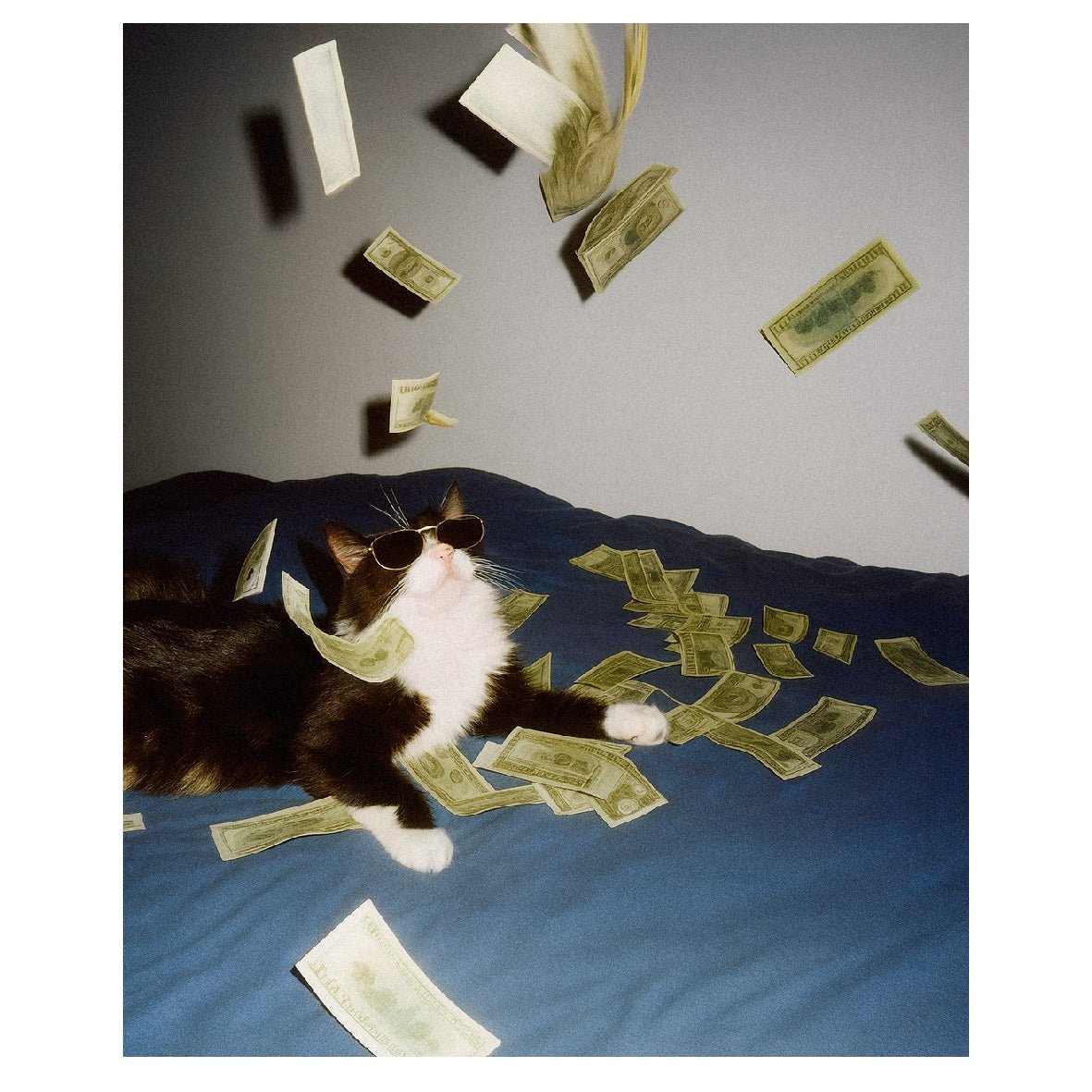 Decorative "Coquette Collection: Lucky Cat" Poster | High - Quality Print | Repositionable Adhesive - Pasquín