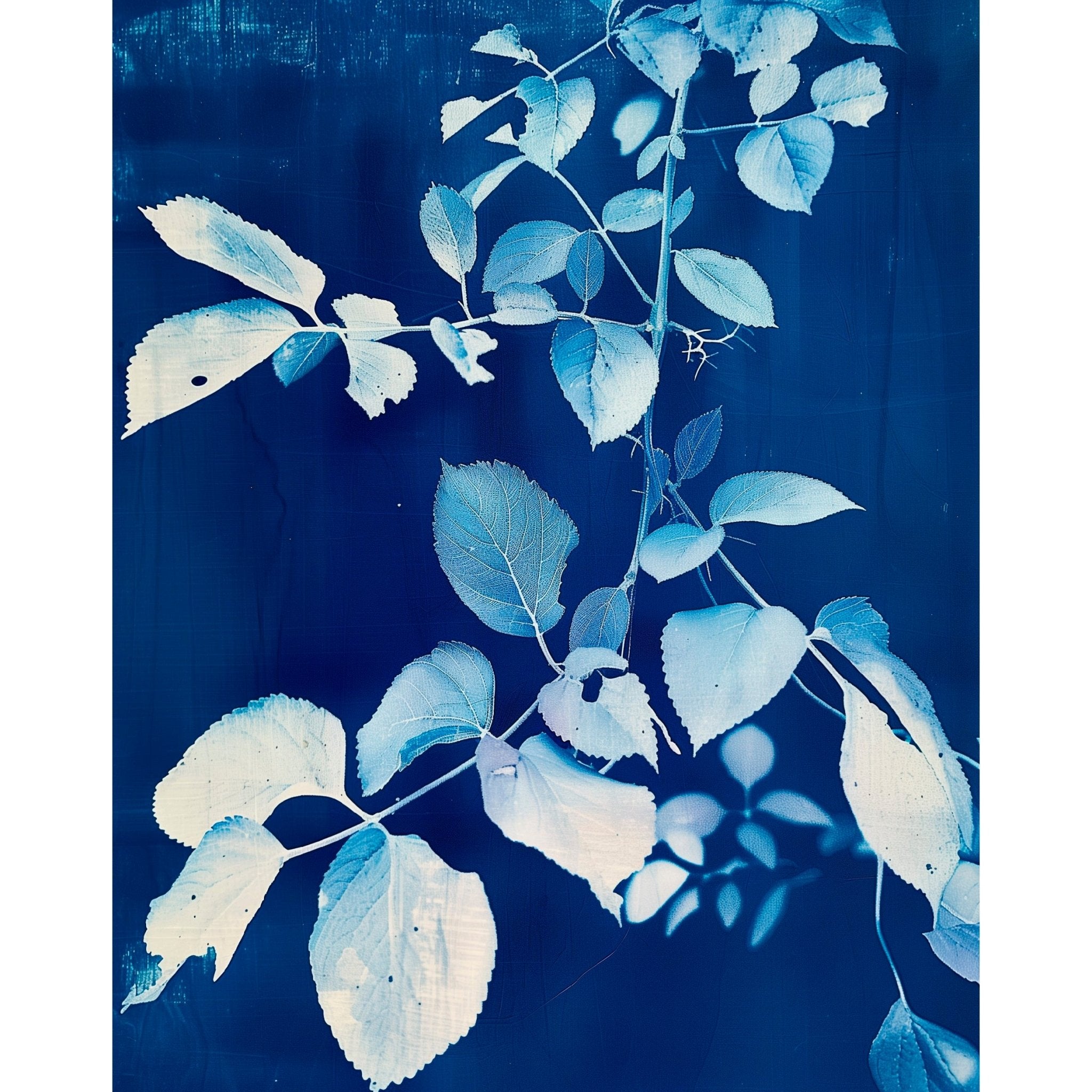 Decorative "Floral Radiograph in Blue" Poster | High - Quality Print | Repositionable Adhesive - Pasquín