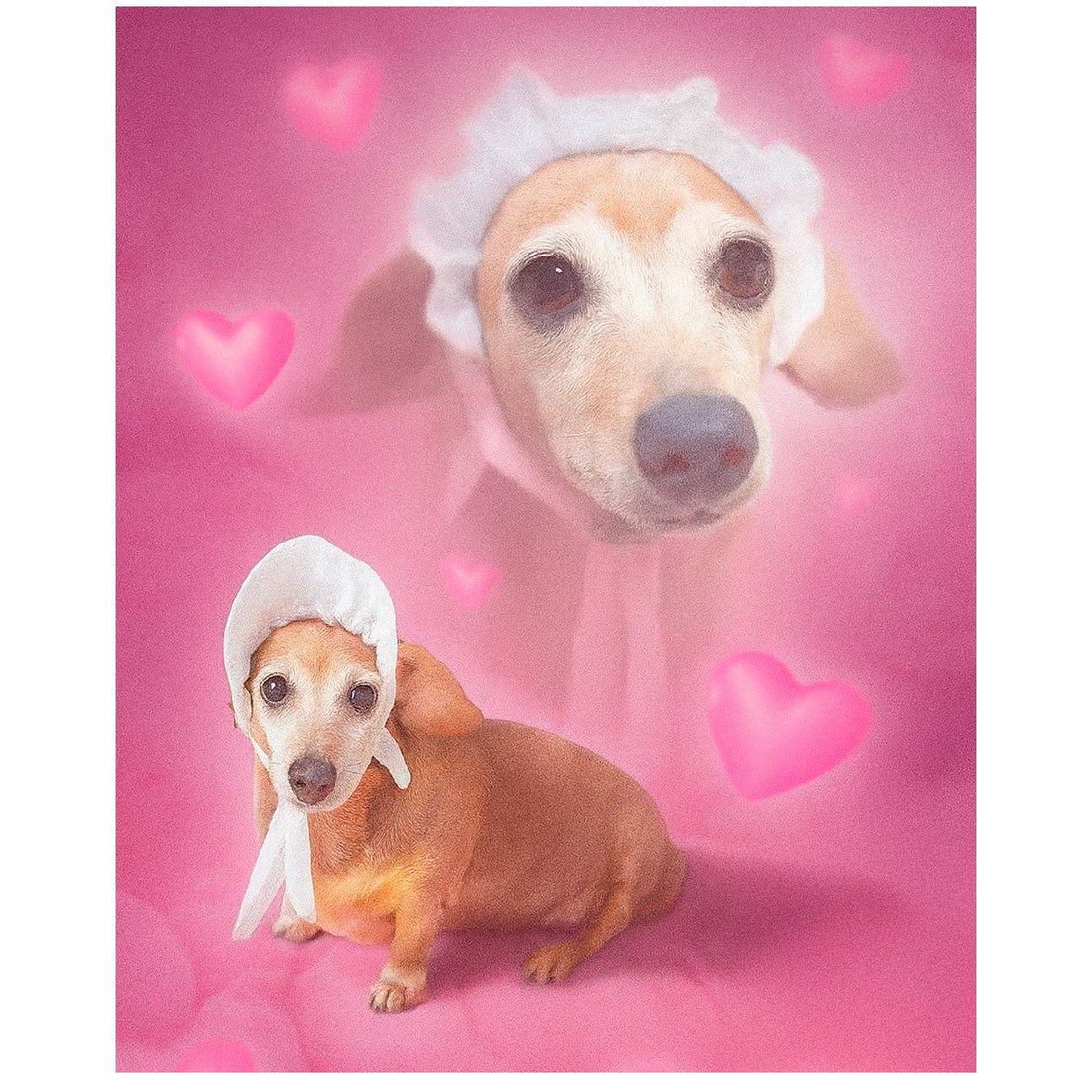 Decorative "Portrait of a Good Boy" Poster | High - Quality Print | Repositionable Adhesive - Pasquín