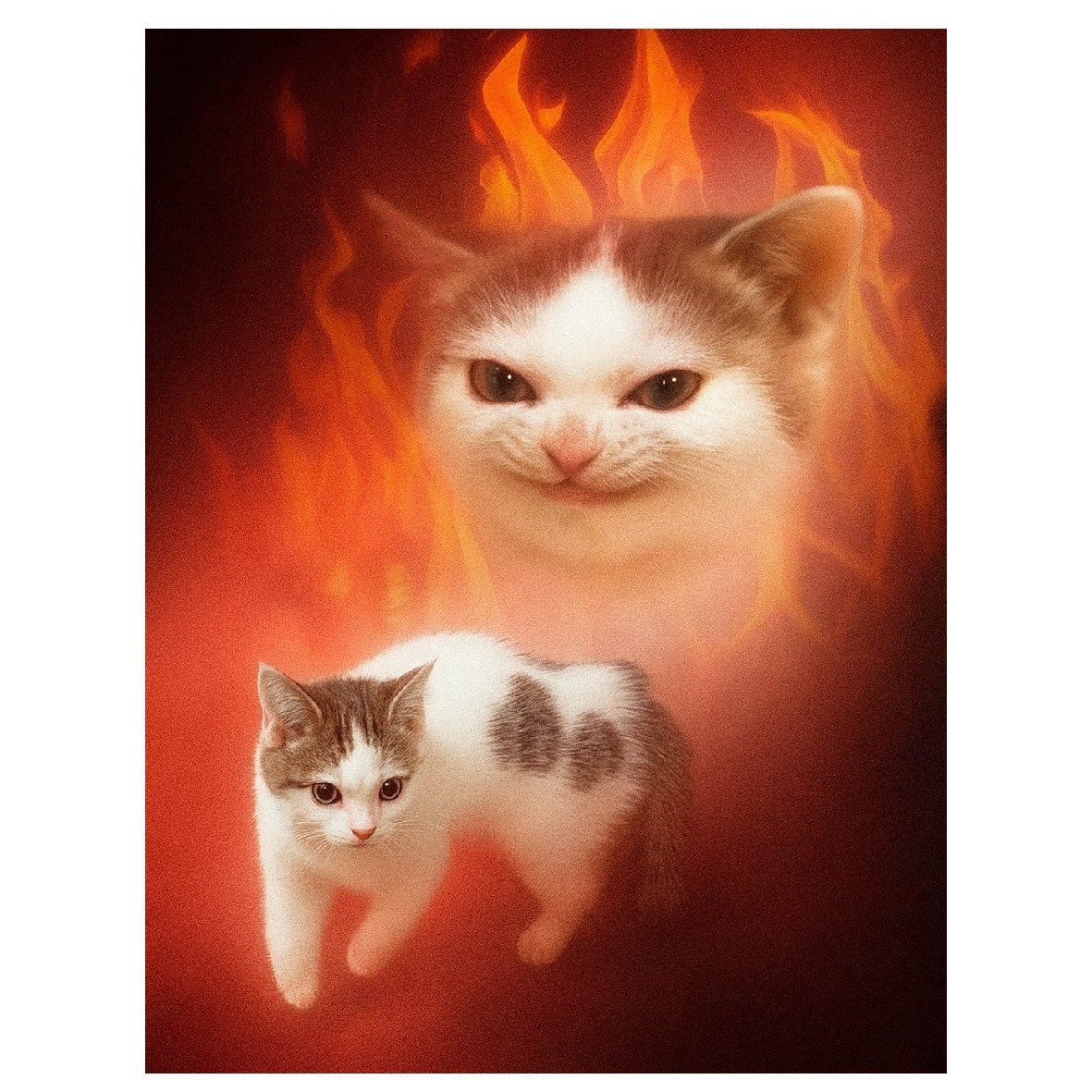 Decorative "Portrait of a Good Boy" Poster | High - Quality Print | Repositionable Adhesive - Pasquín