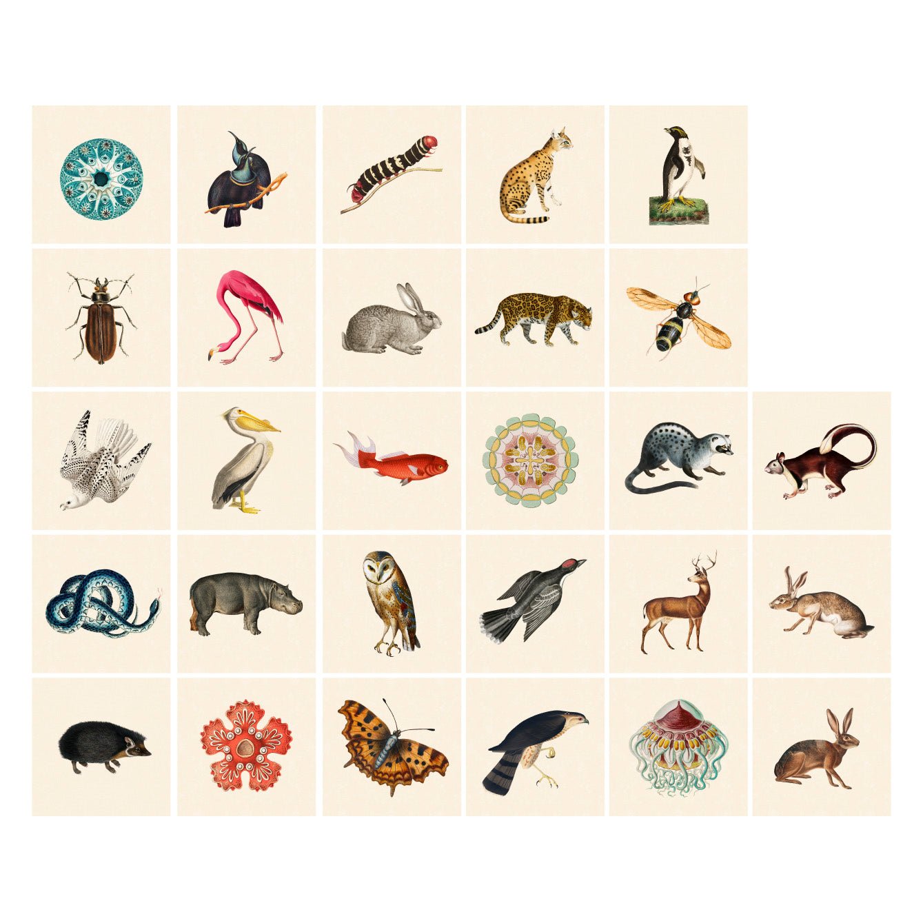 Decorative Removable Wall Tiles - Vintage Animals Design - Pasquín