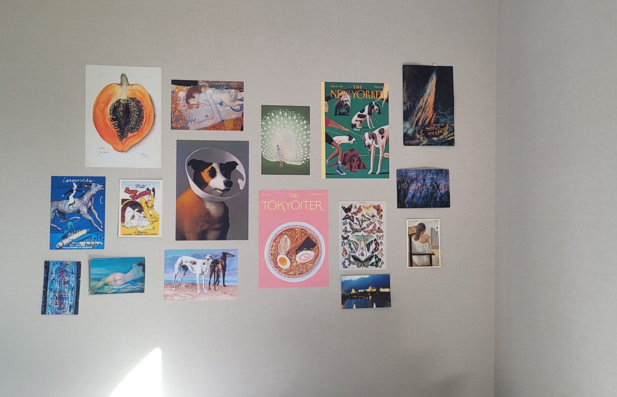 Elevate your Home with Pasquín's Adhesive Wall Art - Pasquín