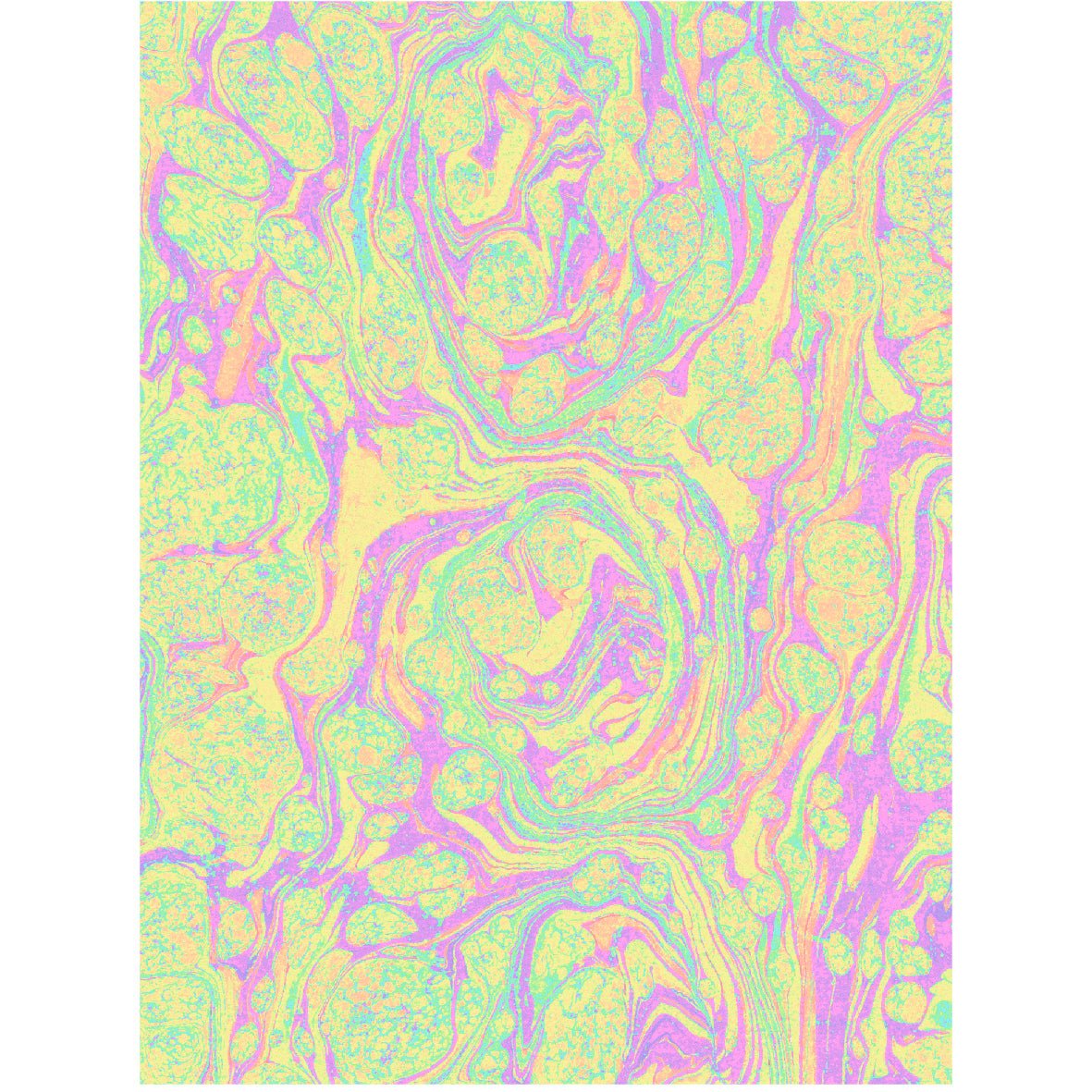 Decorative "Colorful Neon fluid Patterned" Poster | High - Quality Print | Repositionable Adhesive - Pasquín