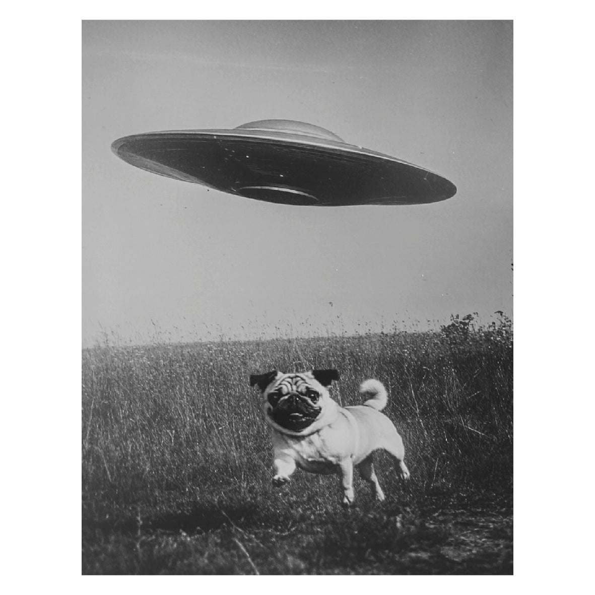 Decorative "Coquette Collection: Alien Pug" Poster | High - Quality Print | Repositionable Adhesive - Pasquín