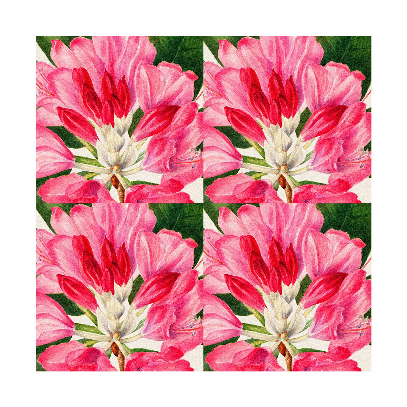 Decorative Removable Wall Tiles - The Floral Design - Pasquín