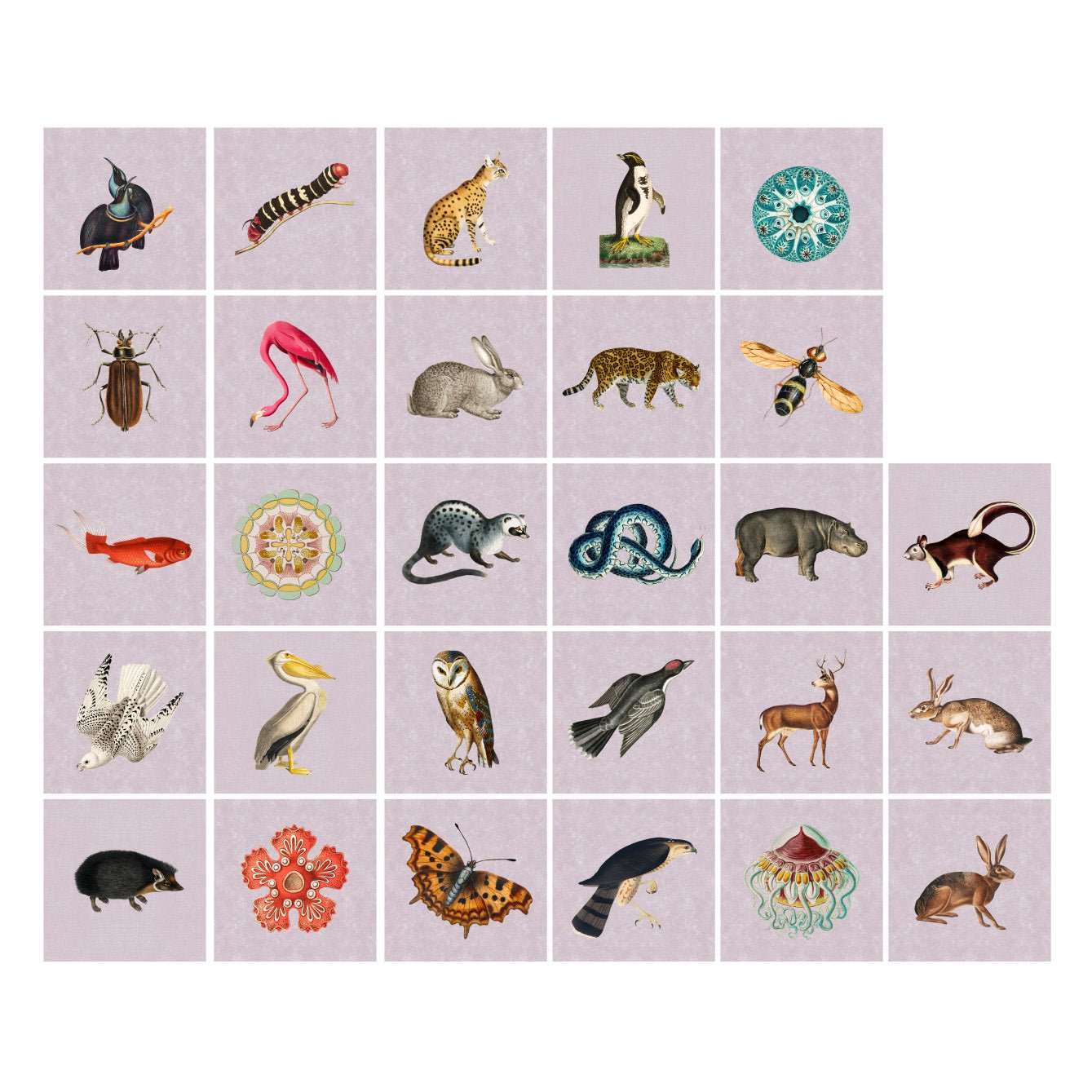 Decorative Removable Wall Tiles - Vintage Animals Design - Pasquín