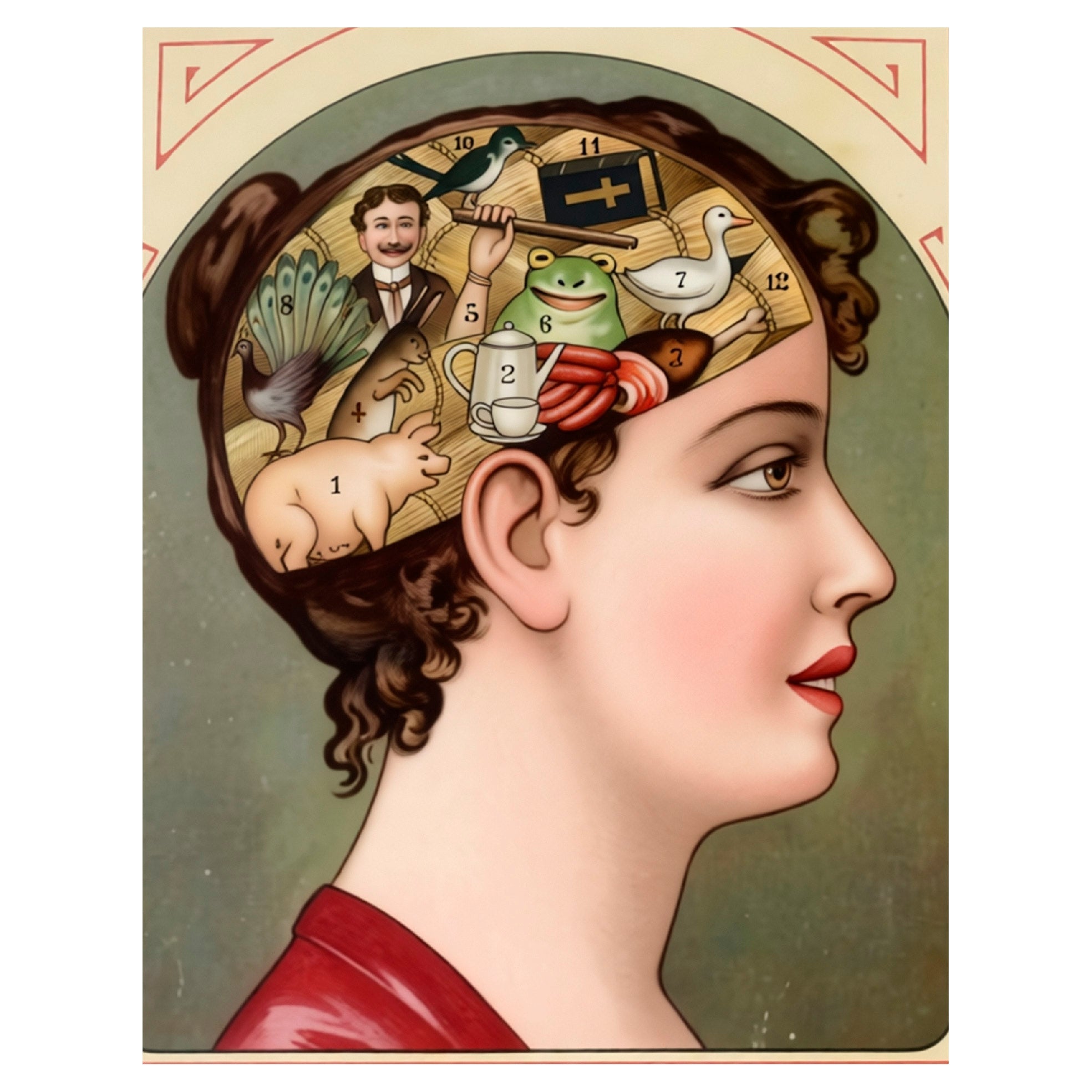 Decorative "Vintage Phrenology Postcard (Female)" Poster | High - Quality Print | Repositionable Adhesive - Pasquín